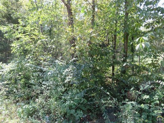 0000 W Crescent Rim Dr, Ozawkie, KS 66070