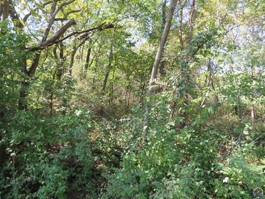 0000 W Crescent Rim Dr, Ozawkie, KS 66070
