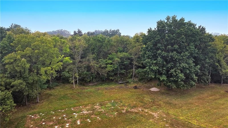 67 NW 451st Rd, Centerview, MO 64019