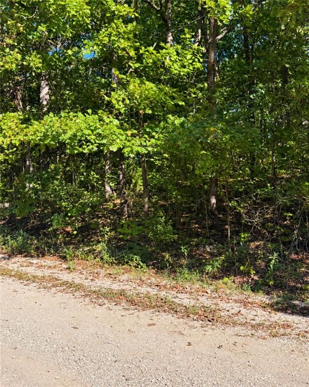 37 SE Lakeside Dr, Lacygne, KS 66040