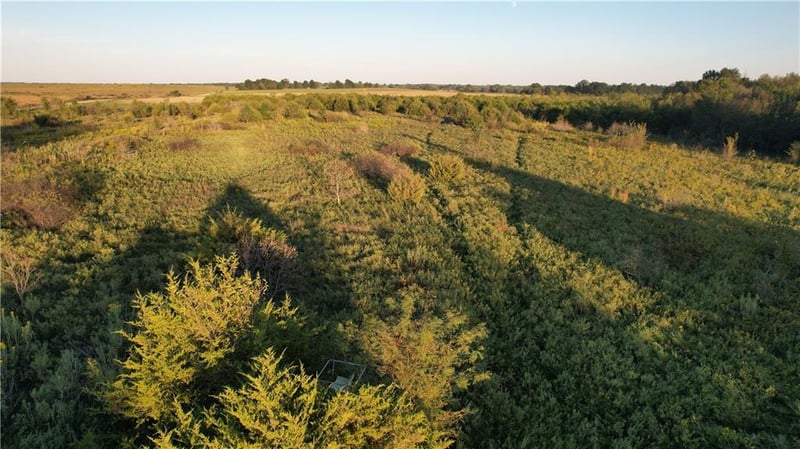 890 Nw 100th Rd, Liberal, MO 64762