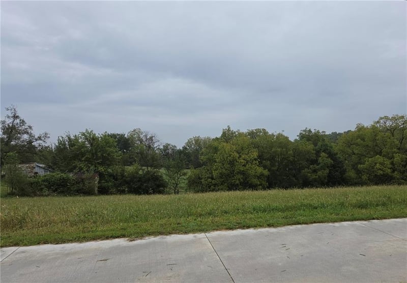 15 and 31 S 98th St, Edwardsville, KS 66111