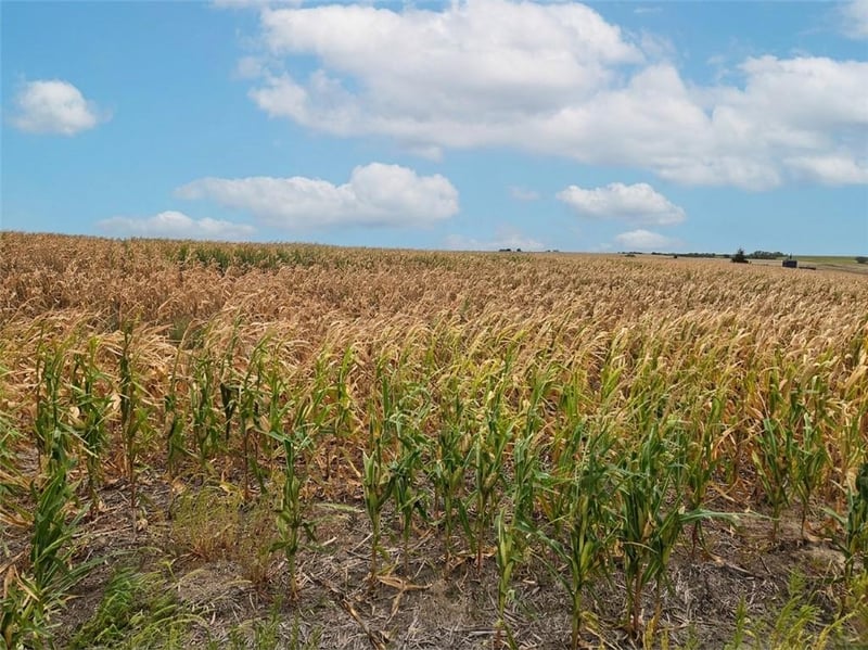 000 W Union Rd, Phillipsburg, KS 67661