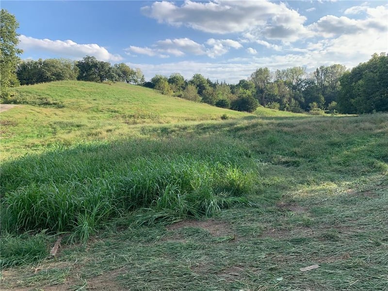 21755 Grass Pad Rd, Platte City, MO 64079