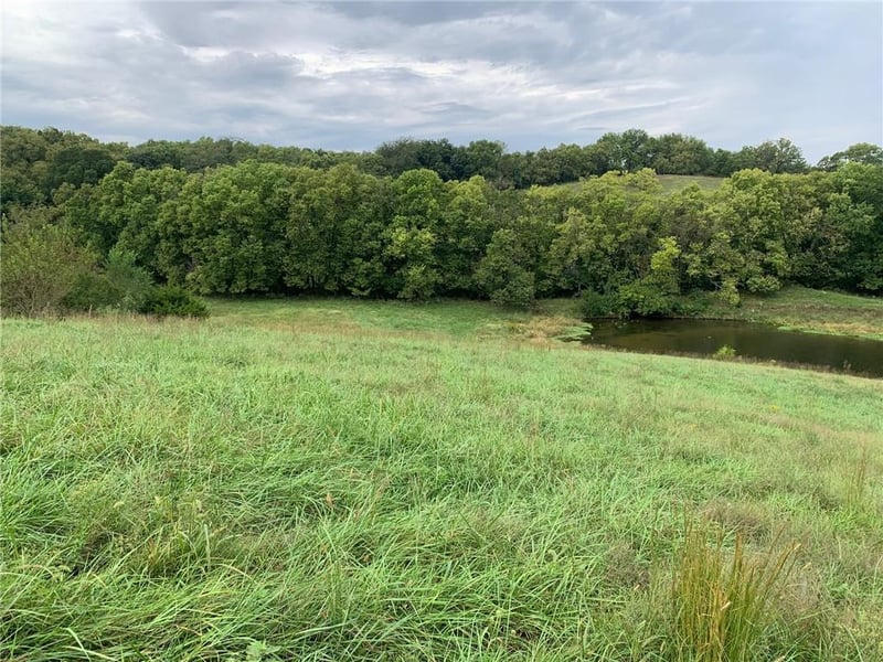 21755 Grass Pad Rd, Platte City, MO 64079