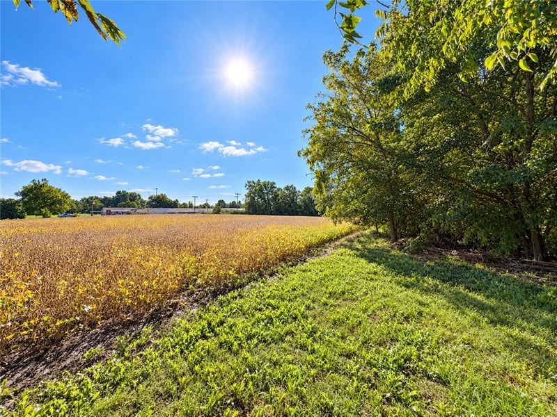 12366 SE Highway 116 N/A, Braymer, MO 64624