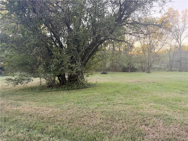 Allen Lot B St, Butler, MO 64730