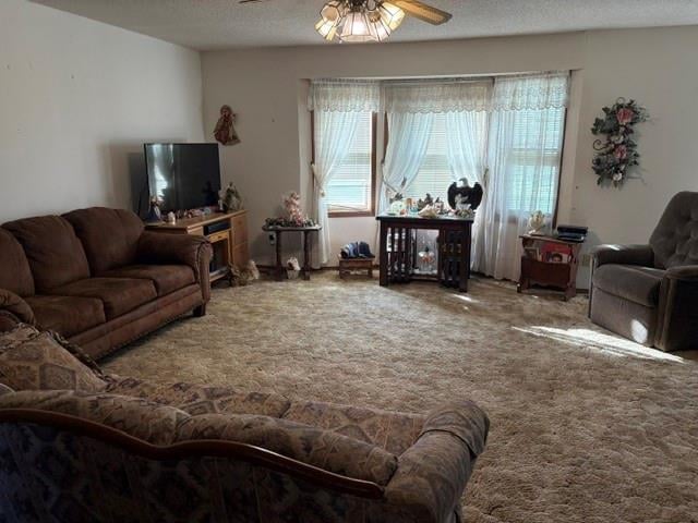 14085 Ness Rd, Altamont, KS 67330