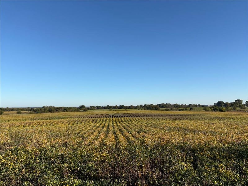 00000 W 1300 Rd, Welda, KS 66091