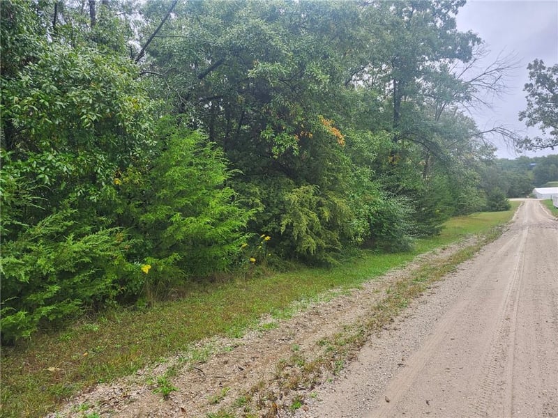 Coral Ave, Princeton, MO 64683