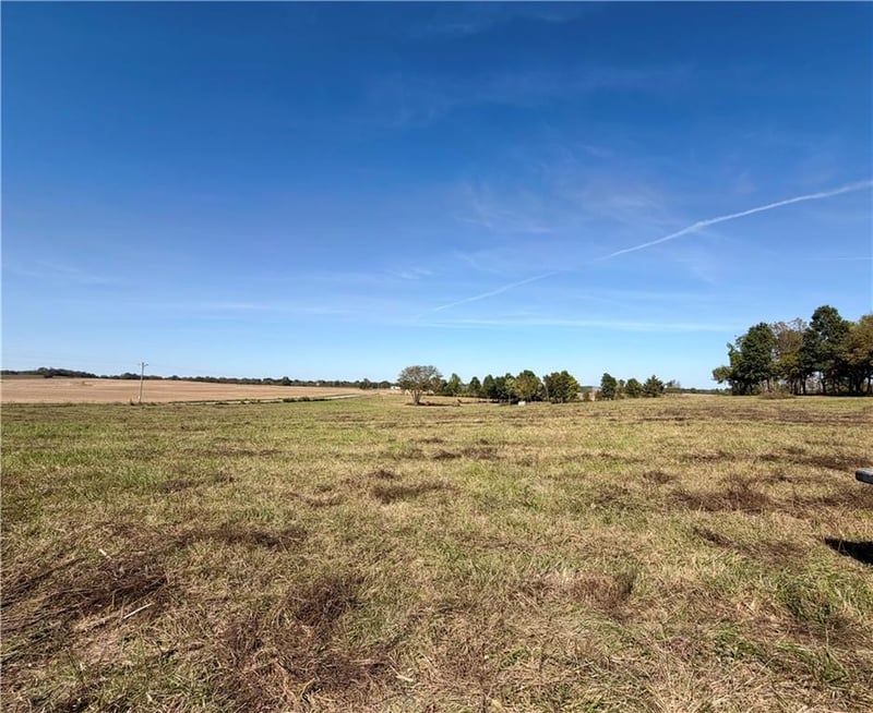 TBD SW 200th Rd, Centerview, MO 64019