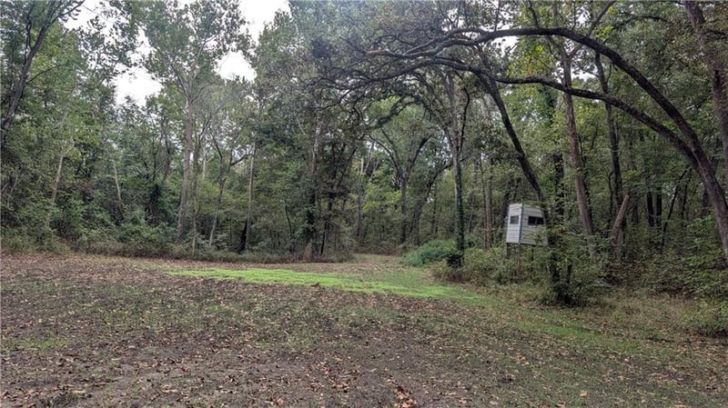 5740 731 Rd, Collins, MO 64738