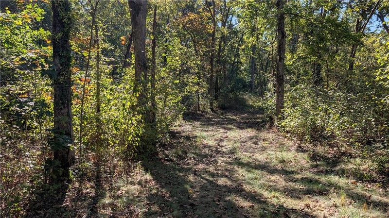 5740B 731 Rd, Collins, MO 64738