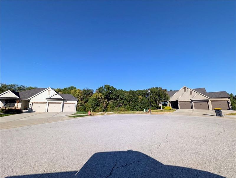 1810 Falcon Ct, Kearney, MO 64060