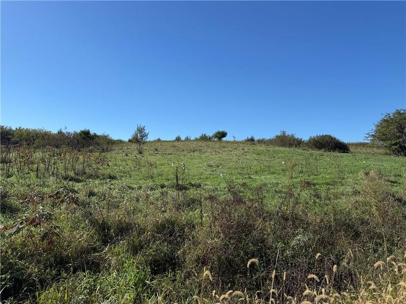 2998 NW Ogle Rd, Maysville, MO 64422