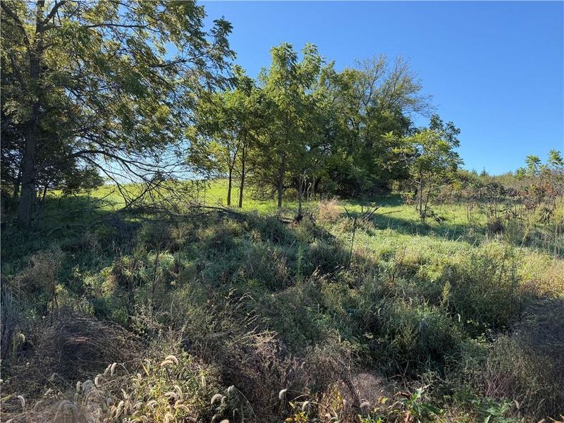 2998 NW Ogle Rd, Maysville, MO 64422