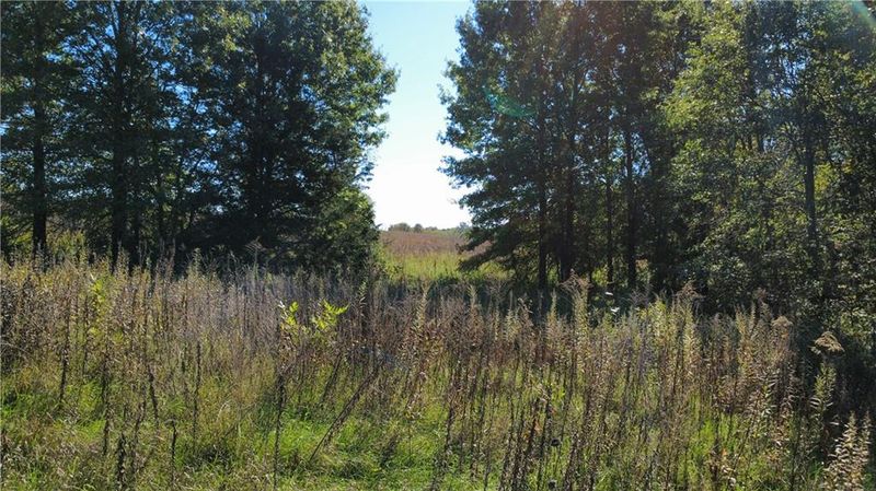 237th St, Ridgeway, MO 64481