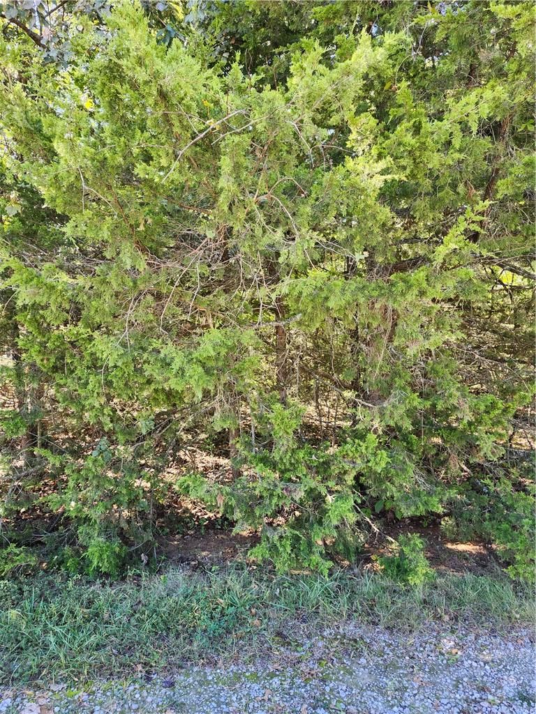 6 W Ridgewood Cir, Linn Valley, KS 66040