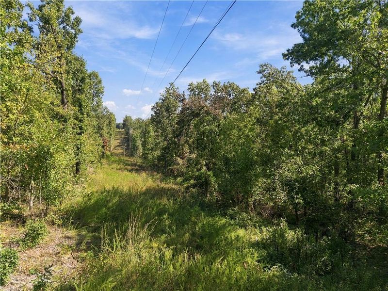 894 1135 Rd, Deepwater, MO 64740