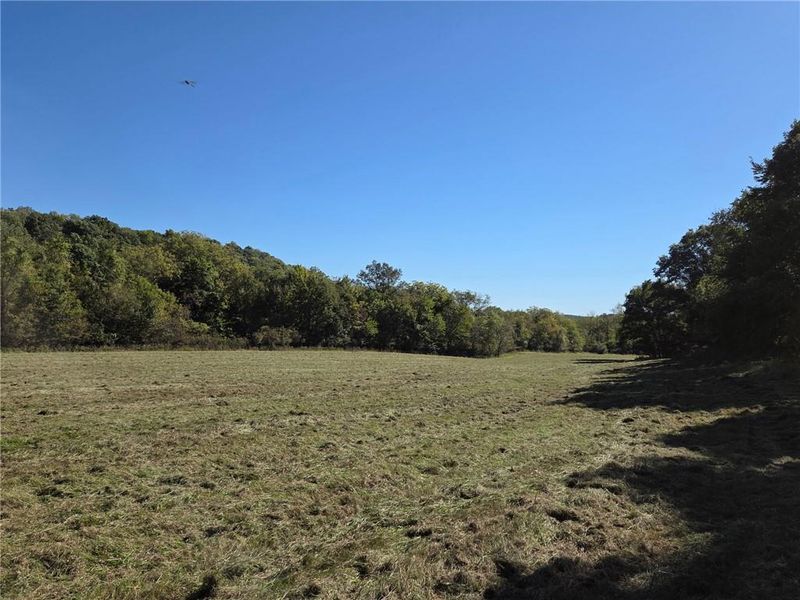 Holt 324 Rd, Forbes, MO 64470