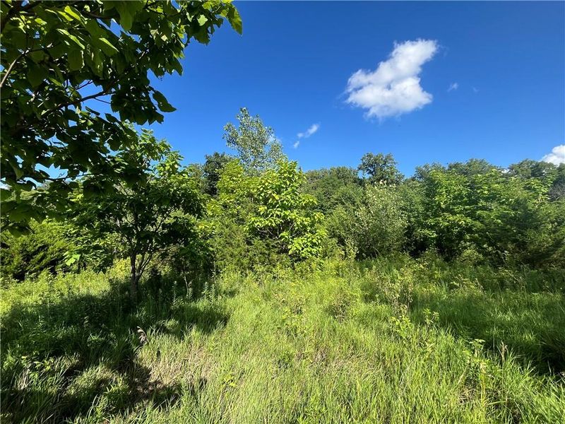 Nw 125th St, Spickard, MO 64679