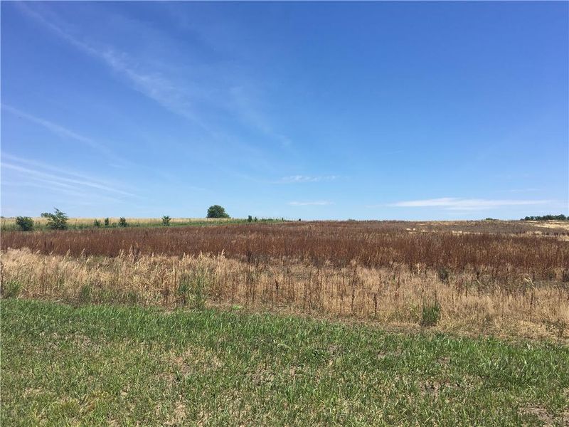 7731 SE Watkins Rd, Lawson, MO 64062