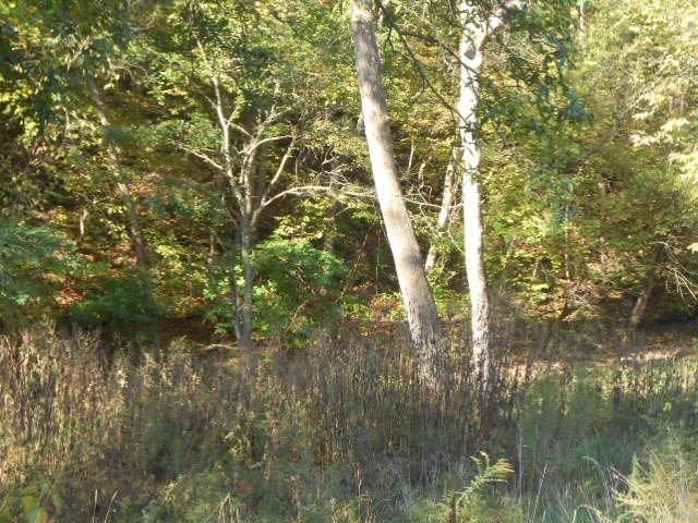 9008 Albany Rd, Orrick, MO 64077