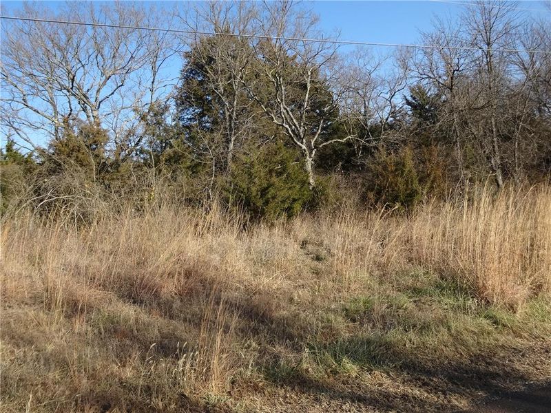 00000 Kimberly Dr, Ozawkie, KS 66070
