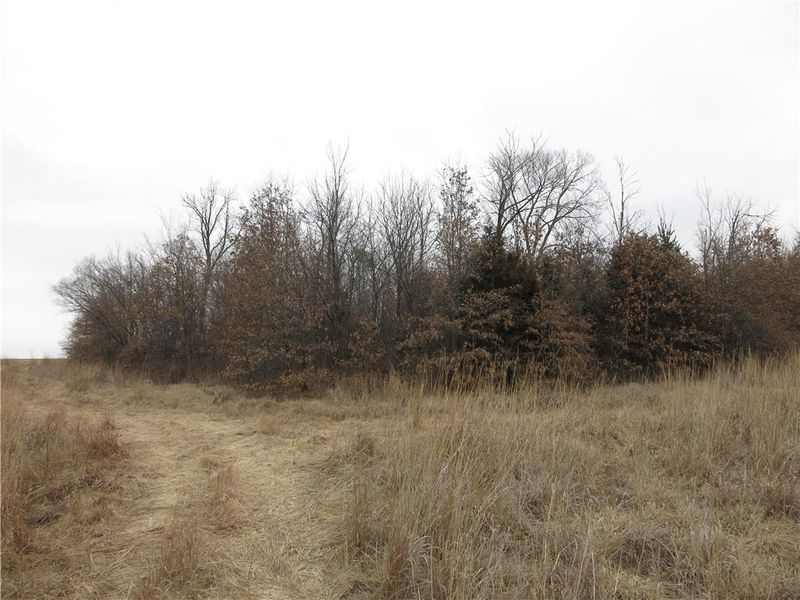 Wamsley Rd, Cameron, MO 64429
