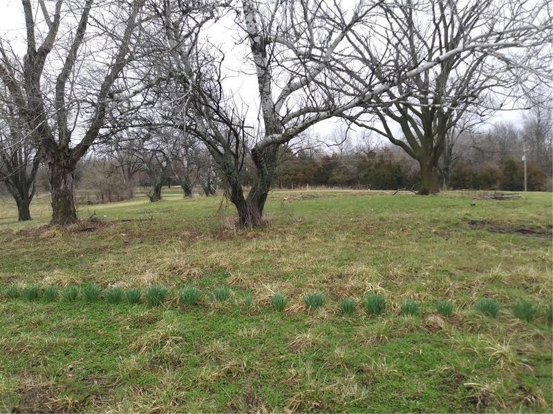 NW 201 Rd, Warrensburg, MO 64093