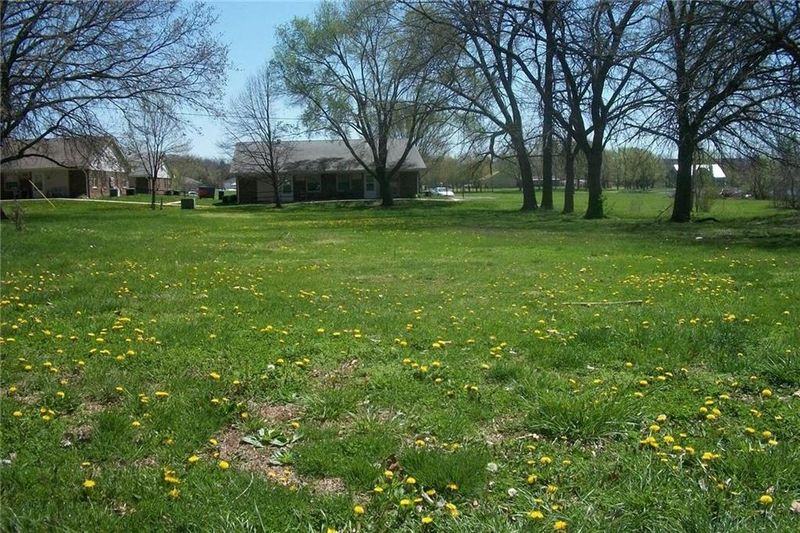 312.5 Clearview St, Pleasant Hill, MO 64080