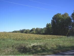 4645 Hwy 116, Dearborn, MO 64439