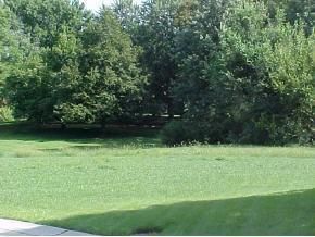 4422 Stonecrest Terr, St Joseph, MO 64506