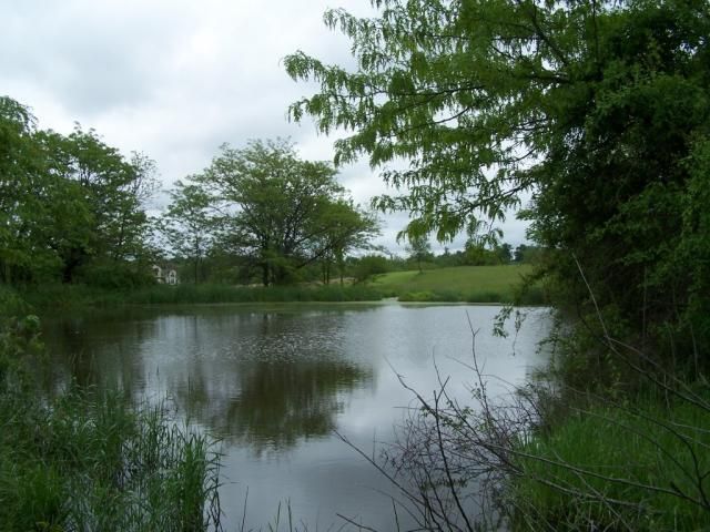 Palomino Dr, St Joseph, MO 64505