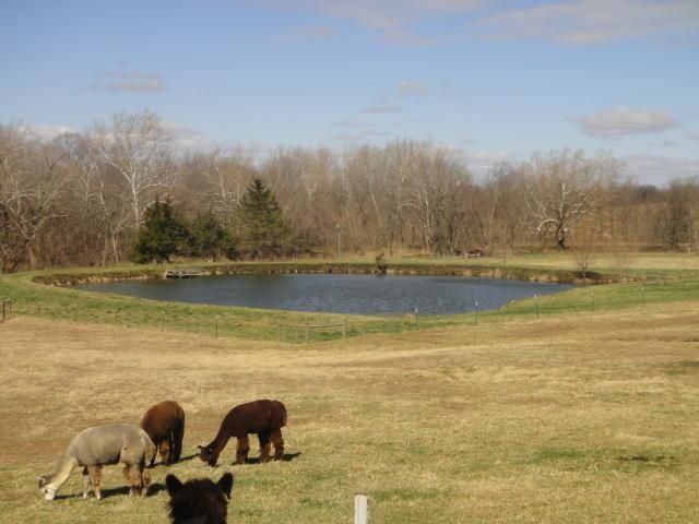 10600 SE 95 Rd, Agency, MO 64401