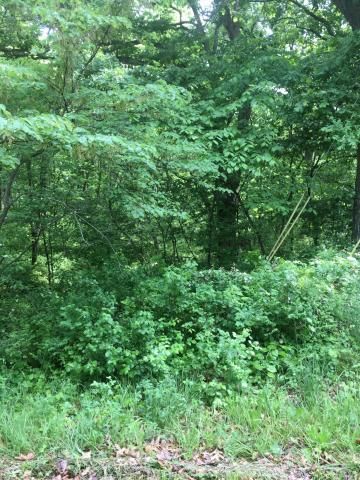 3101 Lake Viking Ter, Altamont, MO 64620