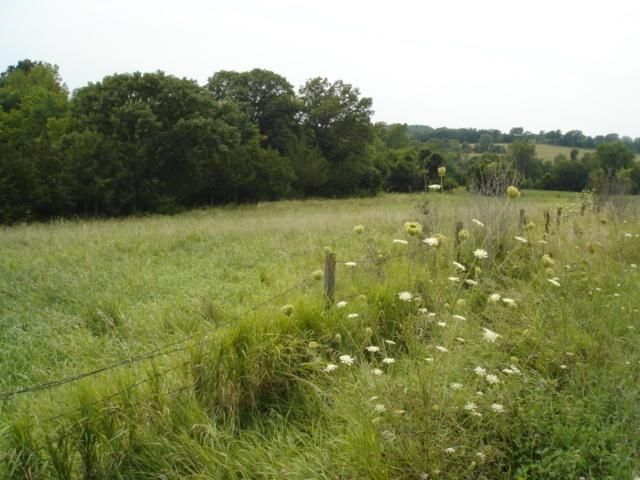 9850 County Road 418 A, Amazonia, MO 64421