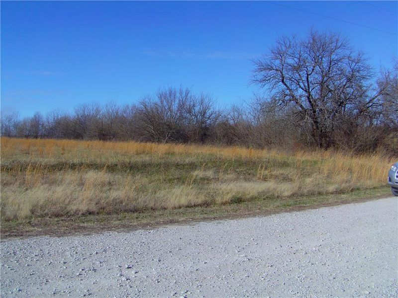 396 SW 811 Rd, Centerview, MO 64019