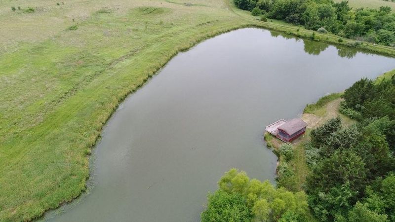 Lion Rd, Hopkins, MO 49328