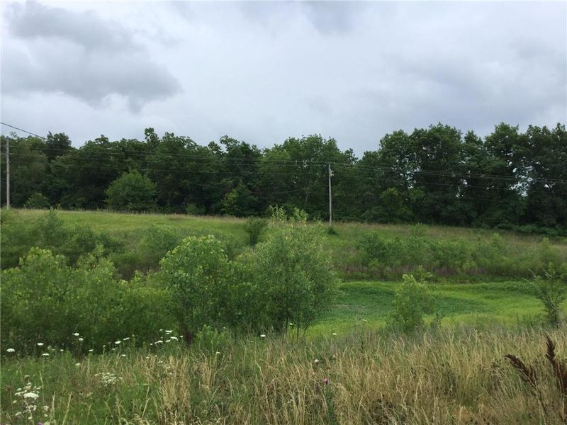 9140 224 Hw, Lexington, MO 64067