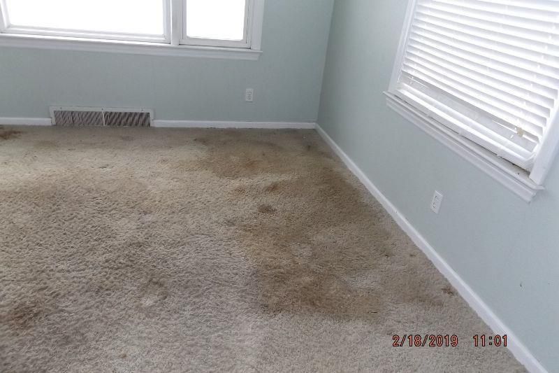 1300 S 4th St, Platte City, MO 64079