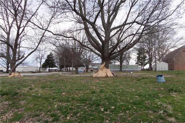 Oakdale St, Lexington, MO 64067