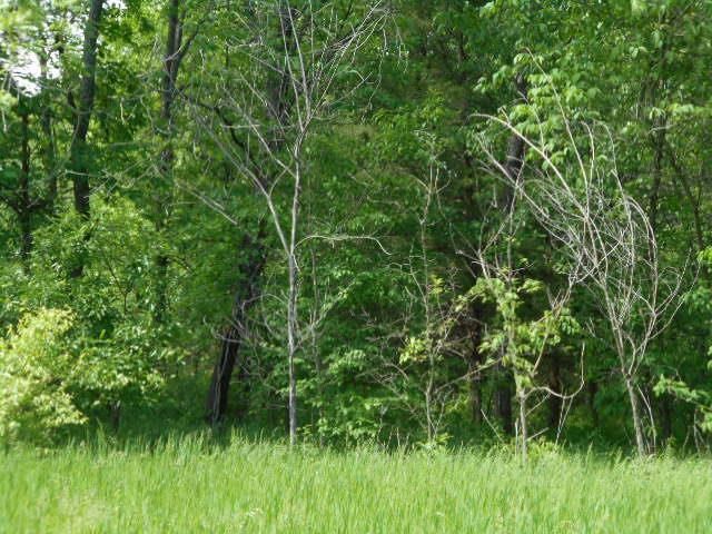 NE 69 Hw, Cameron, MO 64429