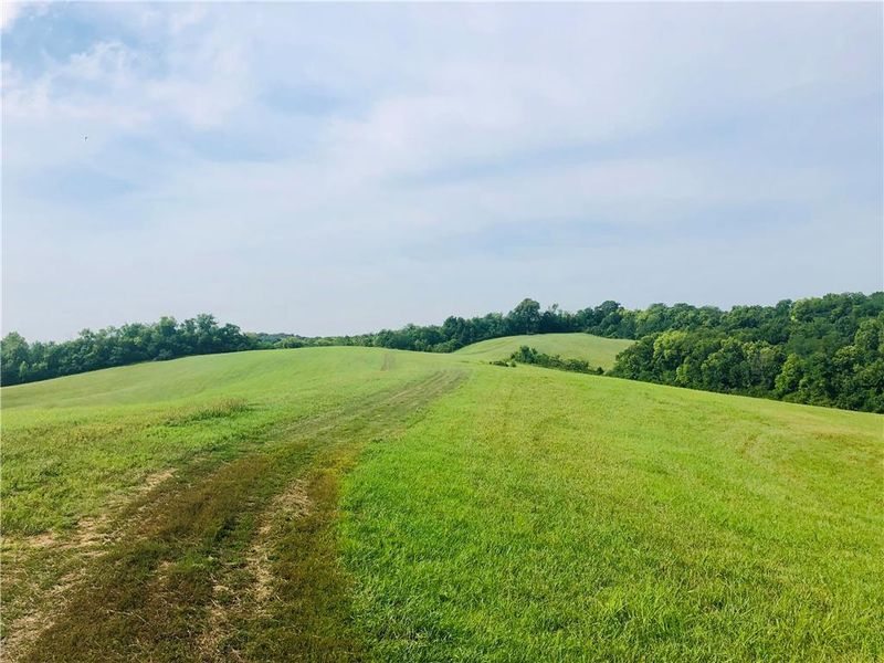14039 County Road 409 N/A, Amazonia, MO 64421