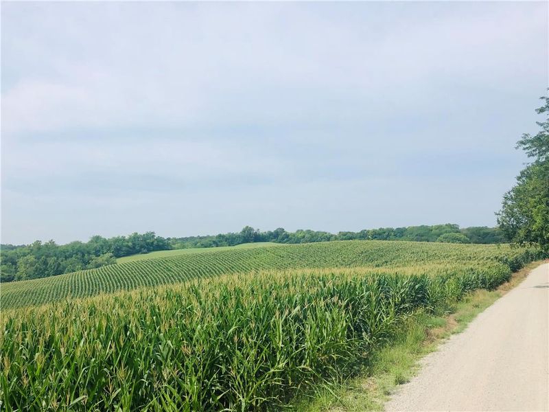 14039 County Road 409 N/A, Amazonia, MO 64421
