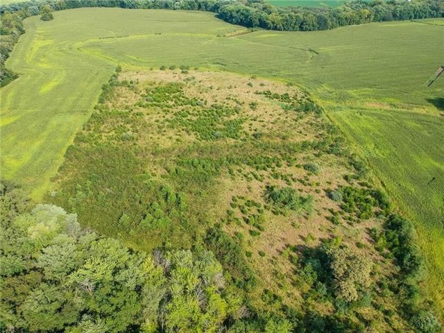2nd St, Smithville, MO 64089