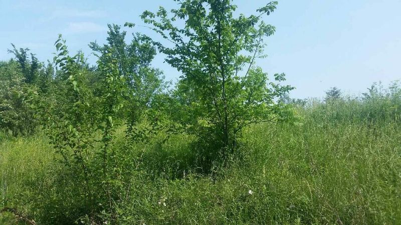 Main St, Sedalia, MO 65301