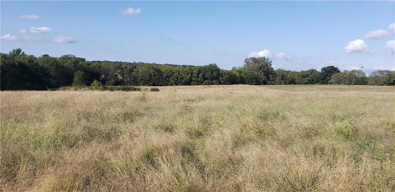 NE 156th St, Smithville, MO 64089