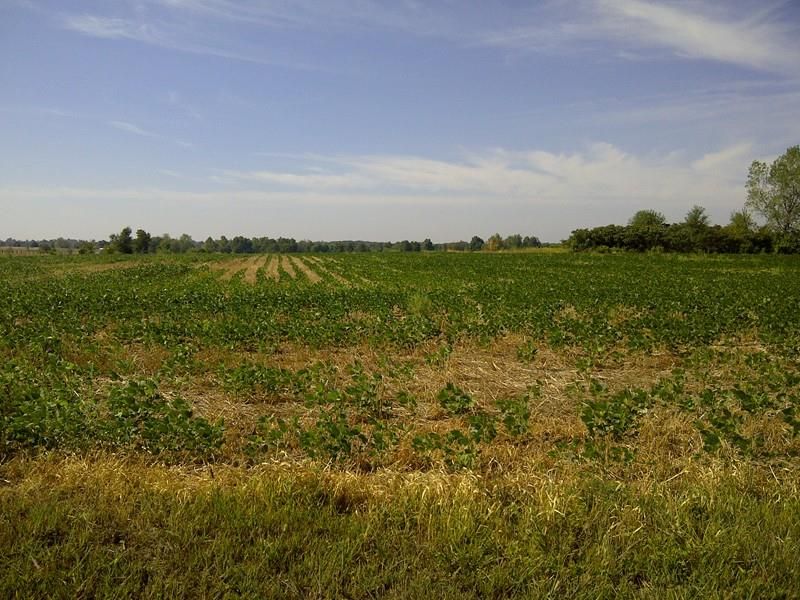 TBD E 6th St, Lamar, MO 64759