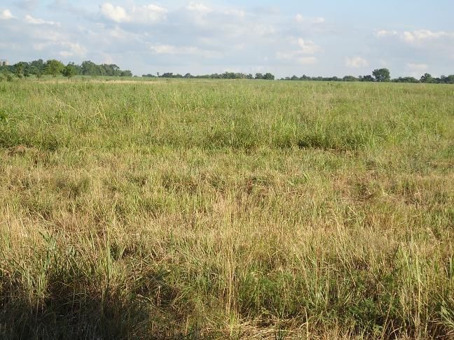 85th - Kansas Rd, Uniontown, KS 66779